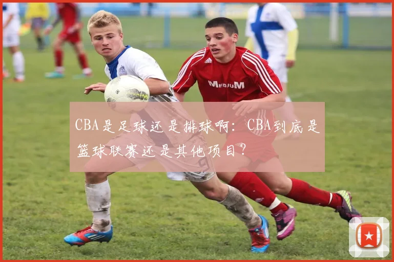 CBA是足球还是排球啊：CBA到底是篮球联赛还是其他项目？
