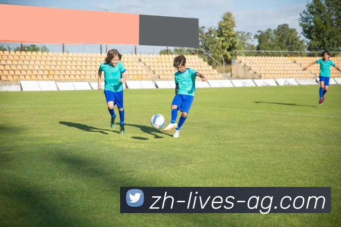 辅助工具 辅助工具